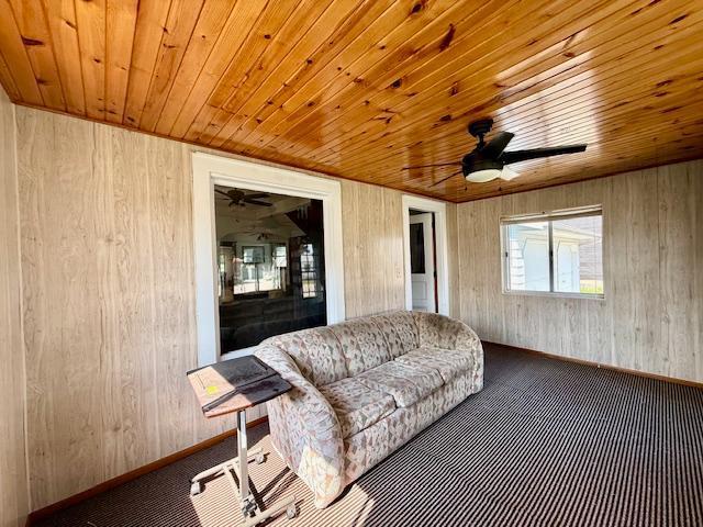 307 Main Street East Caledonia, MN 55921 - Photo 26 of 39