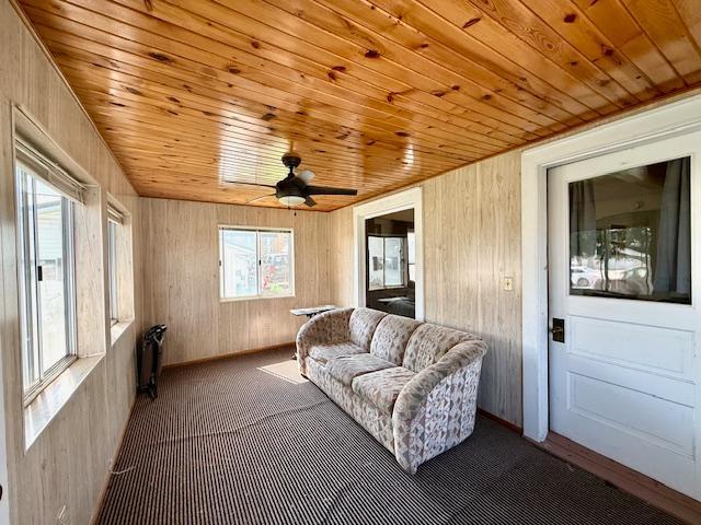 307 Main Street East Caledonia, MN 55921 - Photo 27 of 39