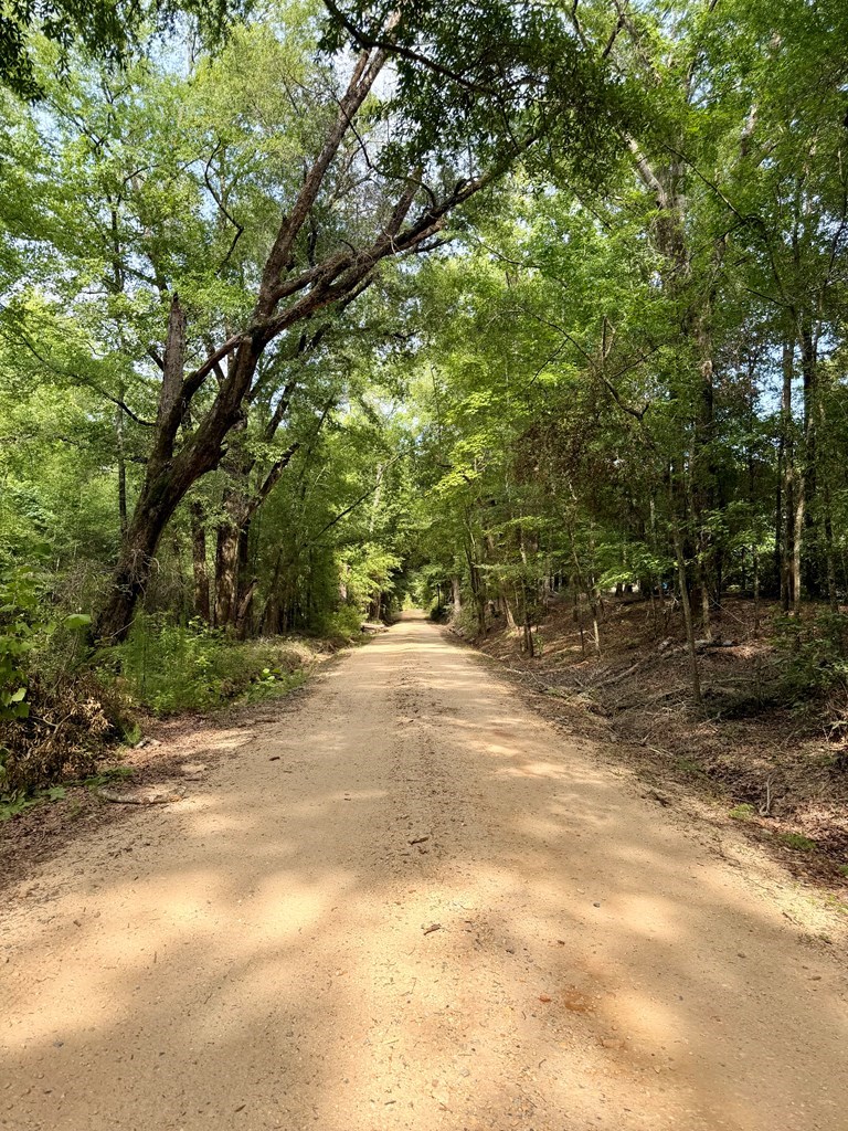 3 Comers Pond Road Pittsview, AL 36871 - Photo 51 of 51
