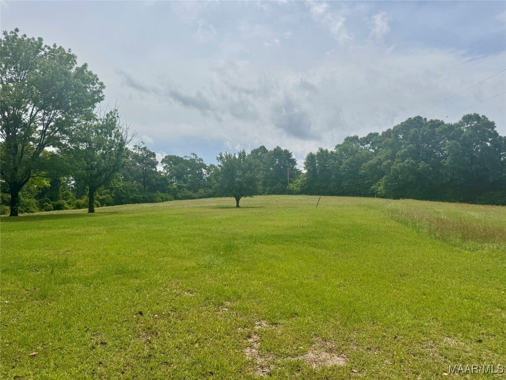 29990 Straughn School Road Andalusia, AL 36421 - Photo 36 of 37 Gallery Image 36