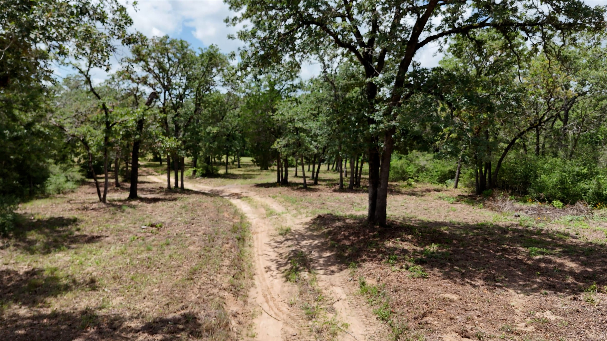 A tranquil, secluded lot awaits, surrounded by mature trees.