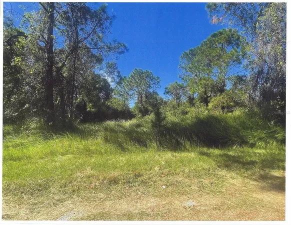 a view of swimming pool from a yard