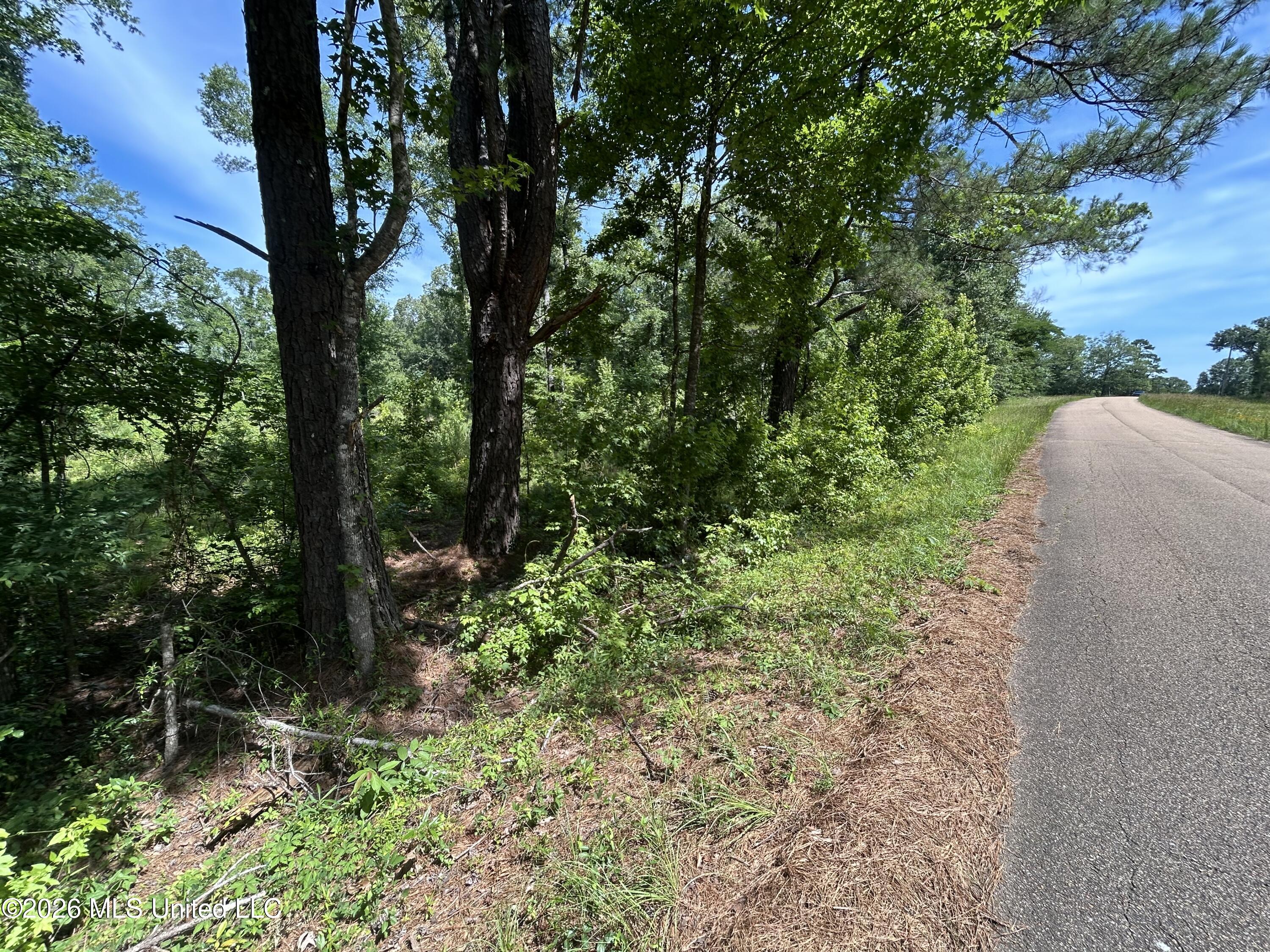 Sleepy Hollow Road Terry, MS 39170 - Photo 4 of 11 IMG_2026