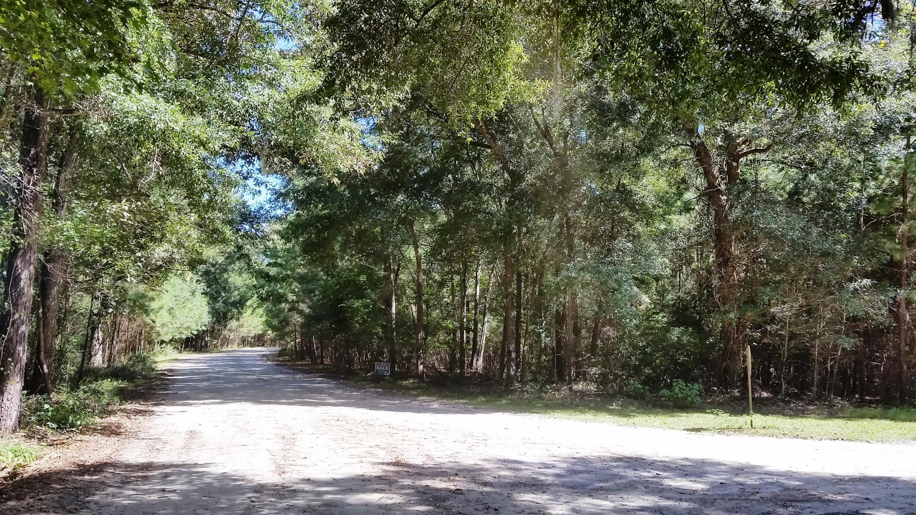 13 A Preserve Road Johns Island, SC 29455 - Photo 1 of 2 Photo 1