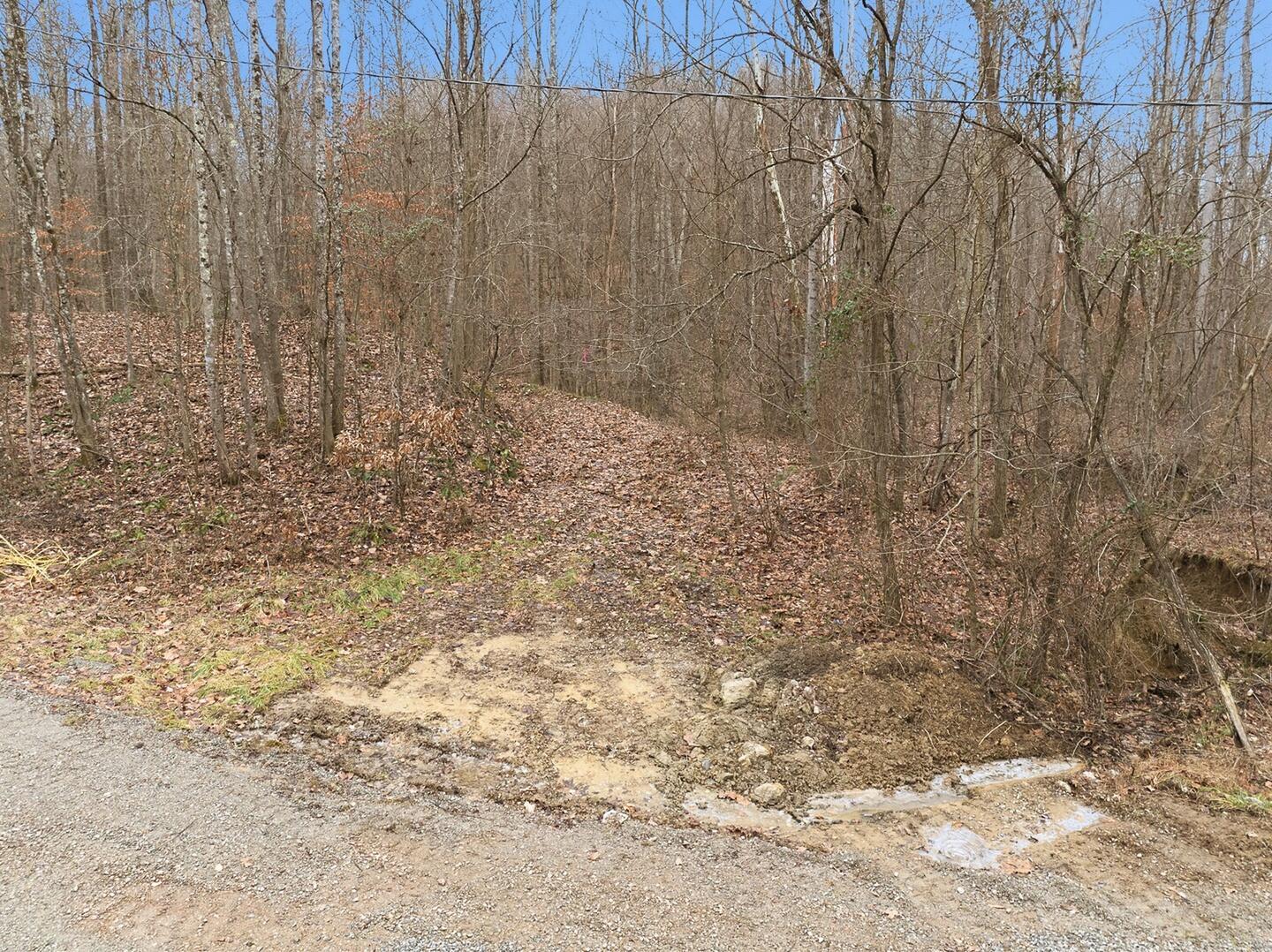 0 East Side Geer Mill Road Vinton, OH 45686 - Photo 5 of 27 Cox Rd!-5