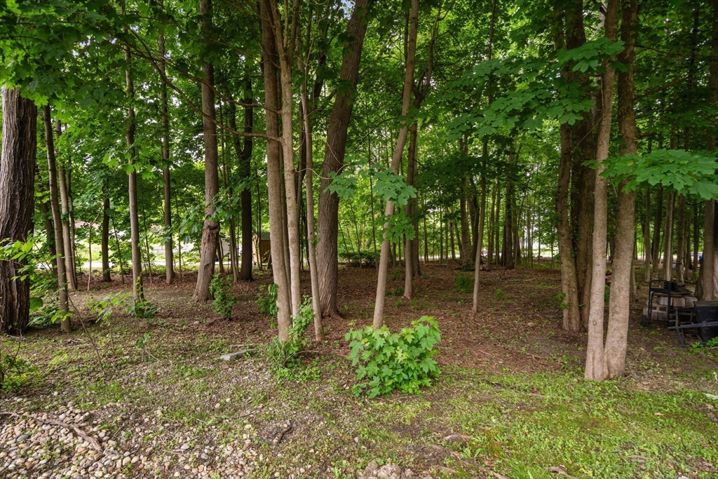 18 Ivy Road Littleton, MA 01460 - Photo 9 of 32