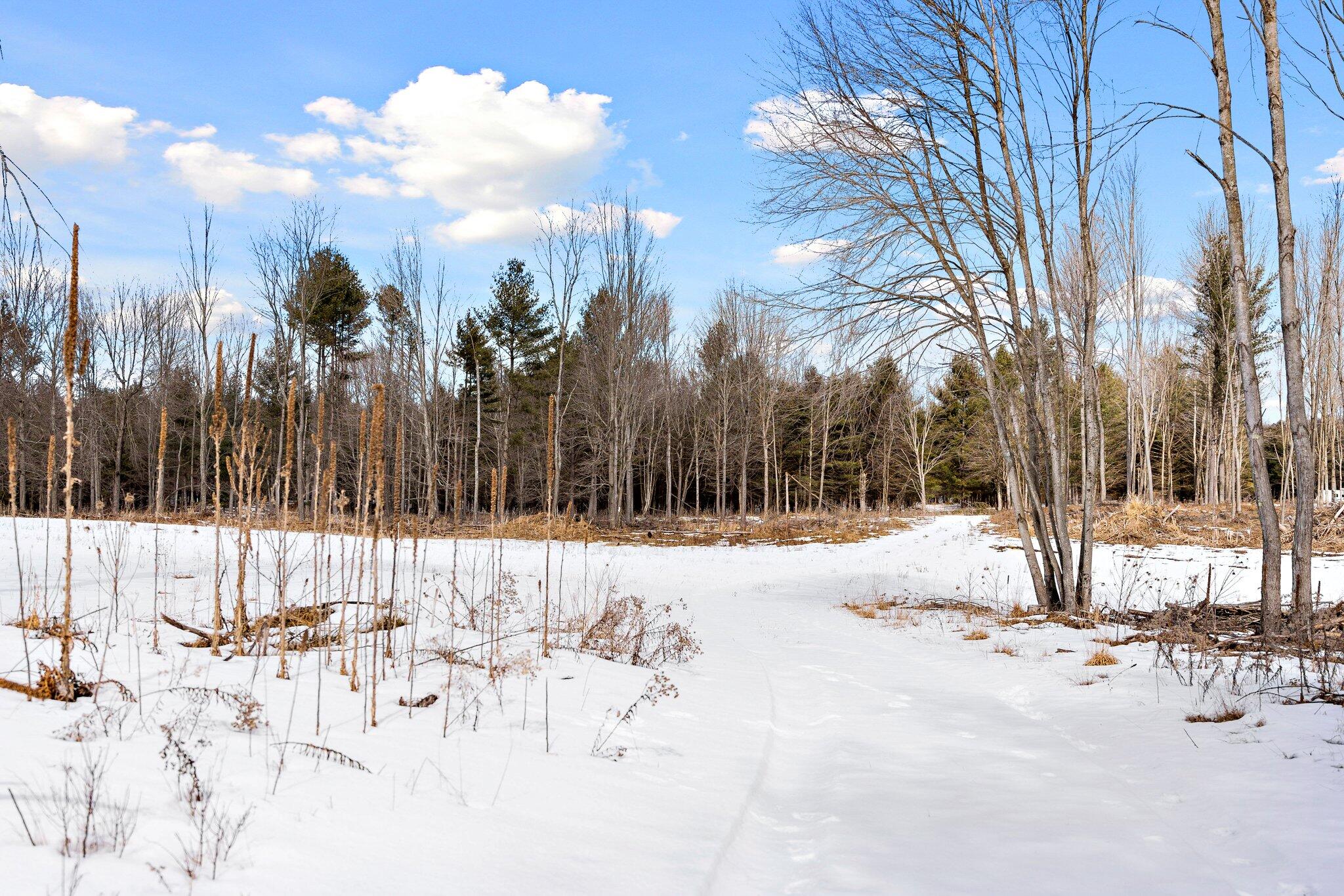 661 East Roosevelt Road Bitely, MI 49309 - Photo 30 of 46 3-web-or-mls-A7409364