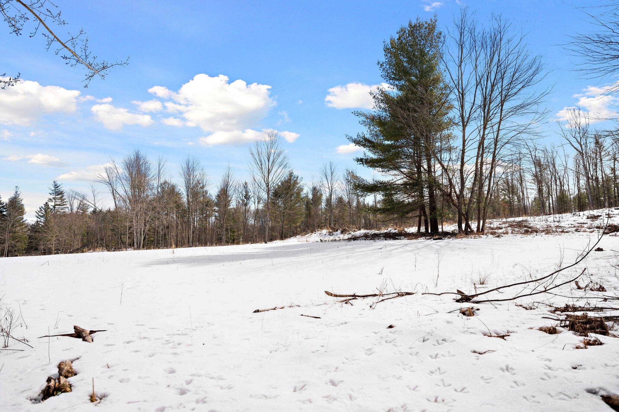 661 East Roosevelt Road Bitely, MI 49309 - Photo 31 of 46 6-web-or-mls-A7409367