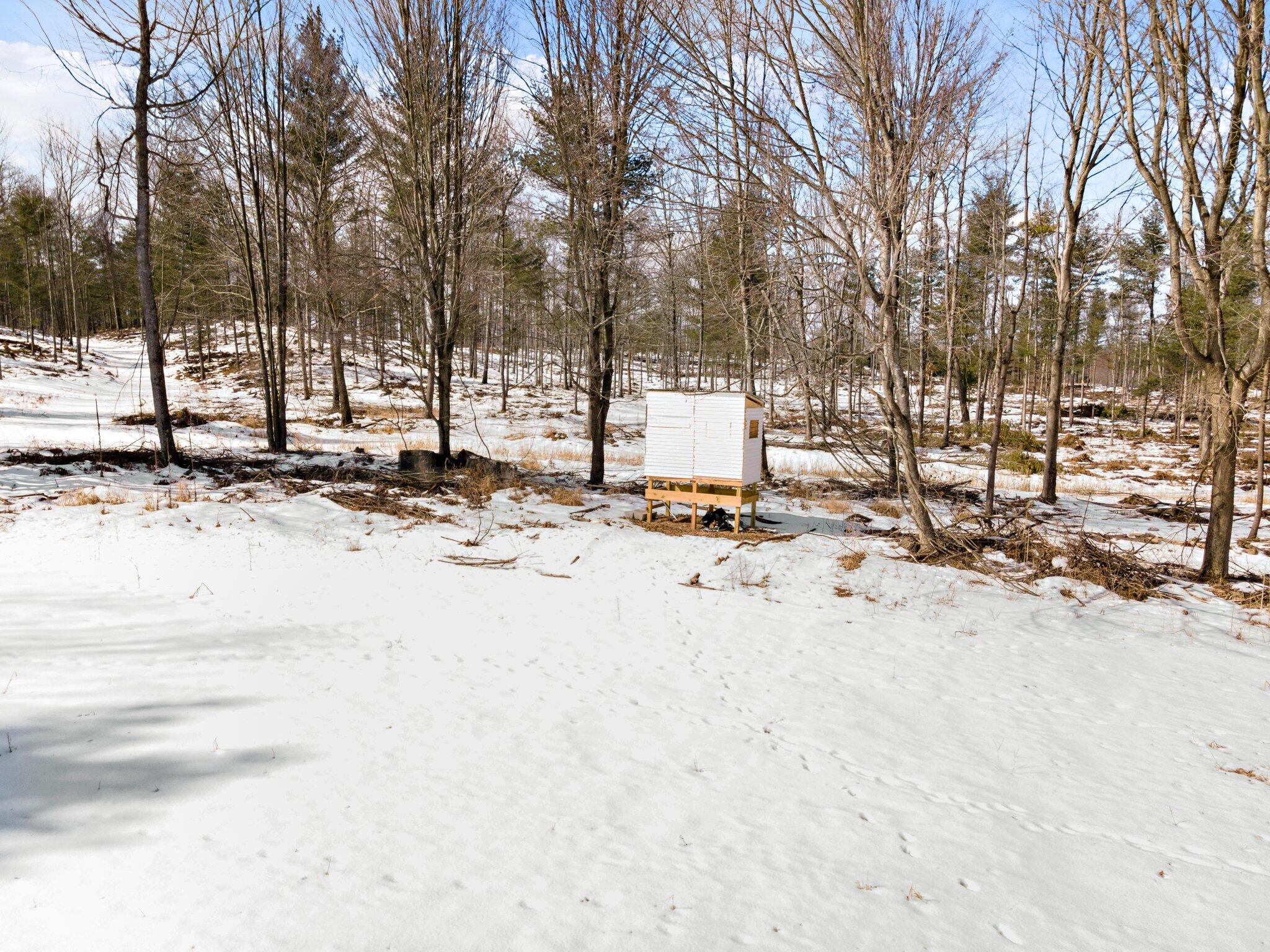 661 East Roosevelt Road Bitely, MI 49309 - Photo 42 of 46 39-web-or-mls-DJI_0256