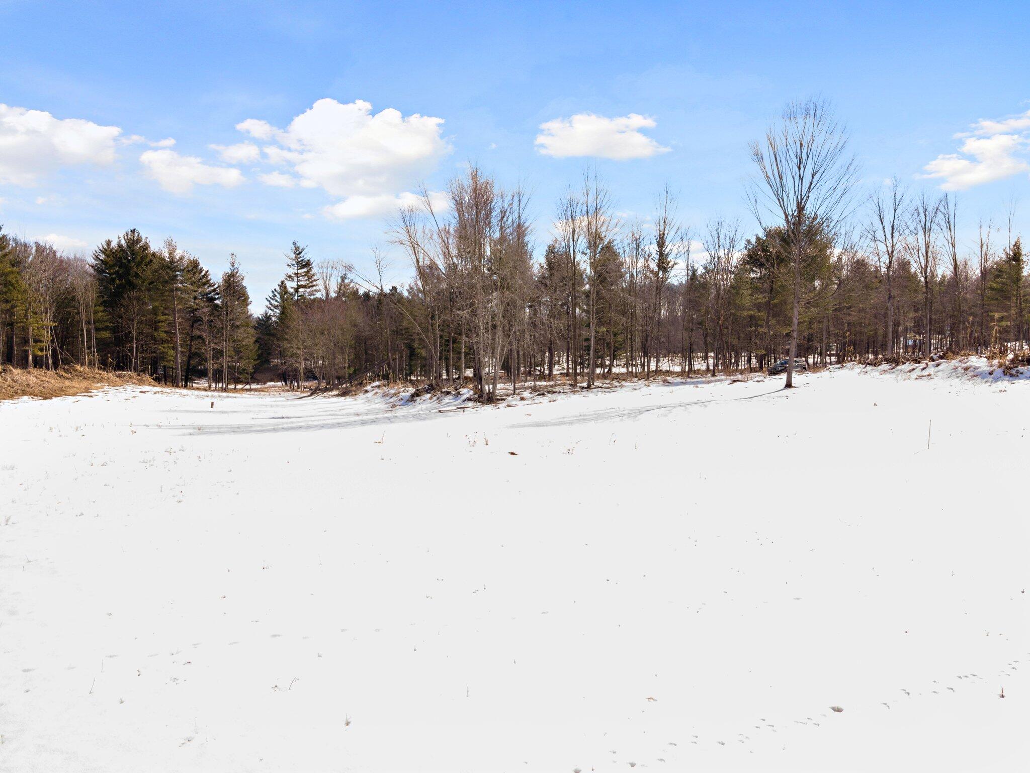661 East Roosevelt Road Bitely, MI 49309 - Photo 43 of 46 40-web-or-mls-DJI_0257