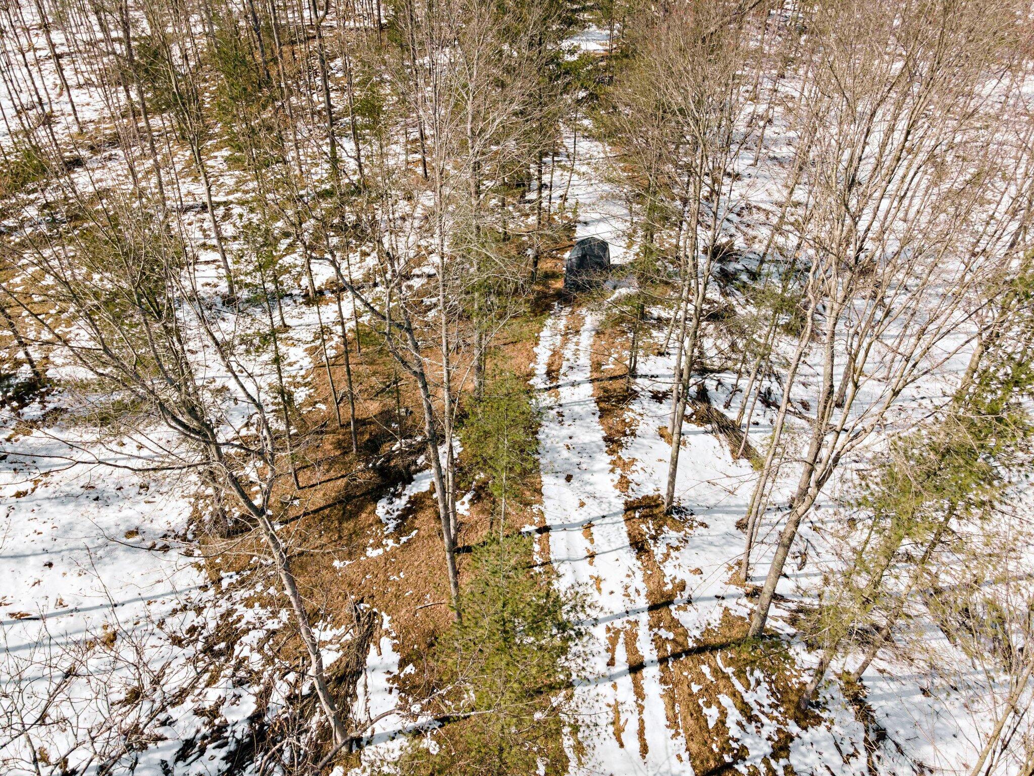 661 East Roosevelt Road Bitely, MI 49309 - Photo 44 of 46 41-web-or-mls-DJI_0258
