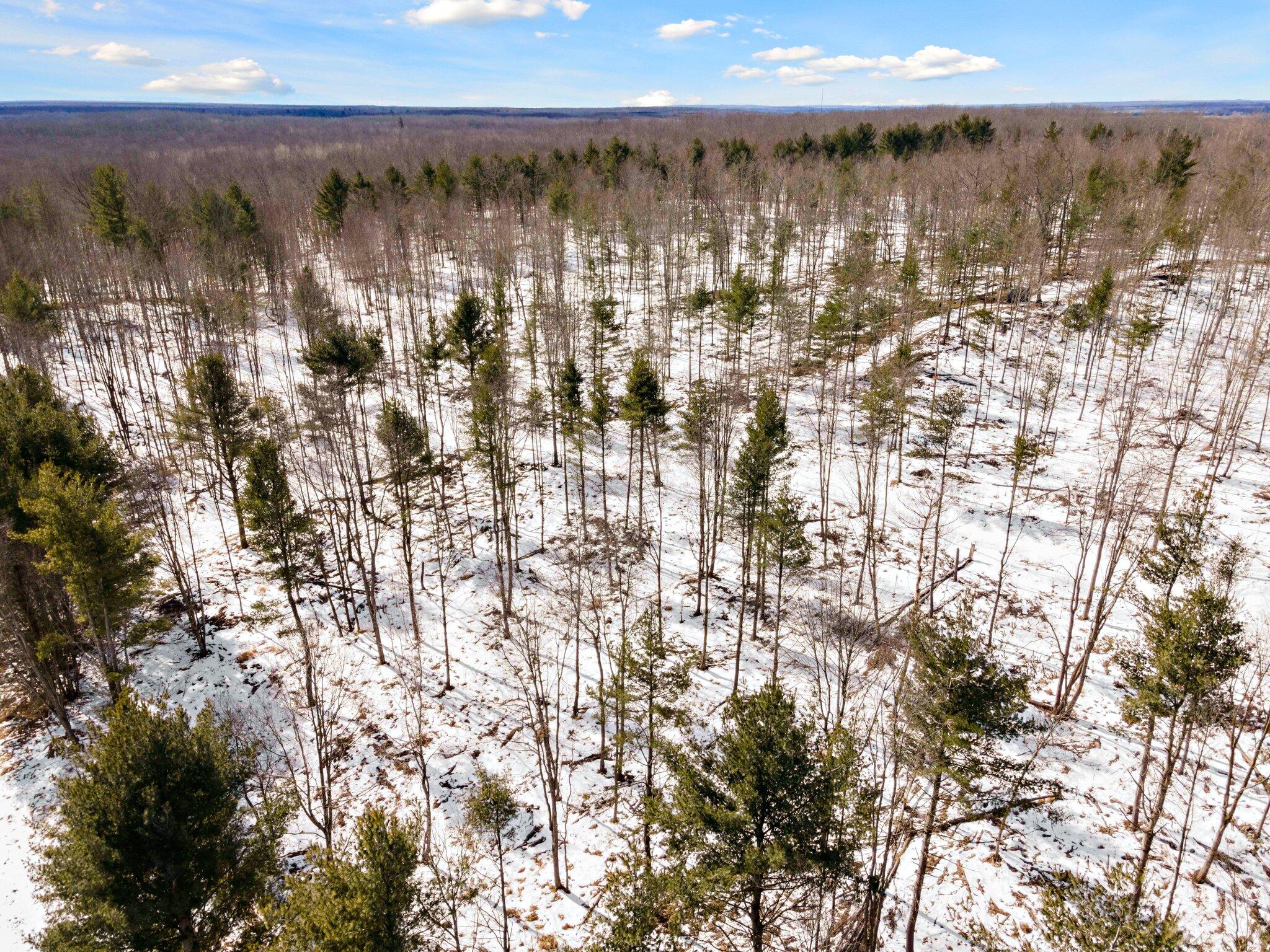 661 East Roosevelt Road Bitely, MI 49309 - Photo 46 of 46 46-web-or-mls-DJI_0263