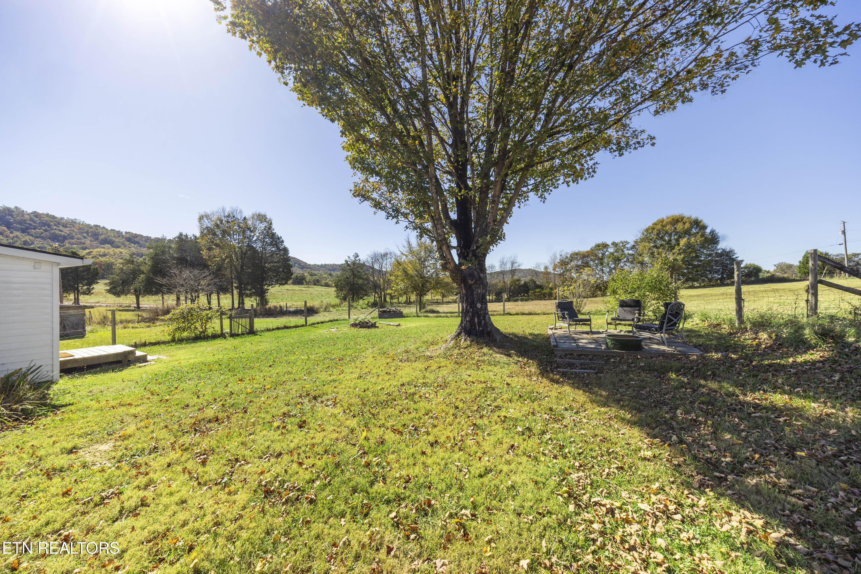 295 Rhodes Road New Market, TN 37820 - Photo 35 of 48 L40A0677