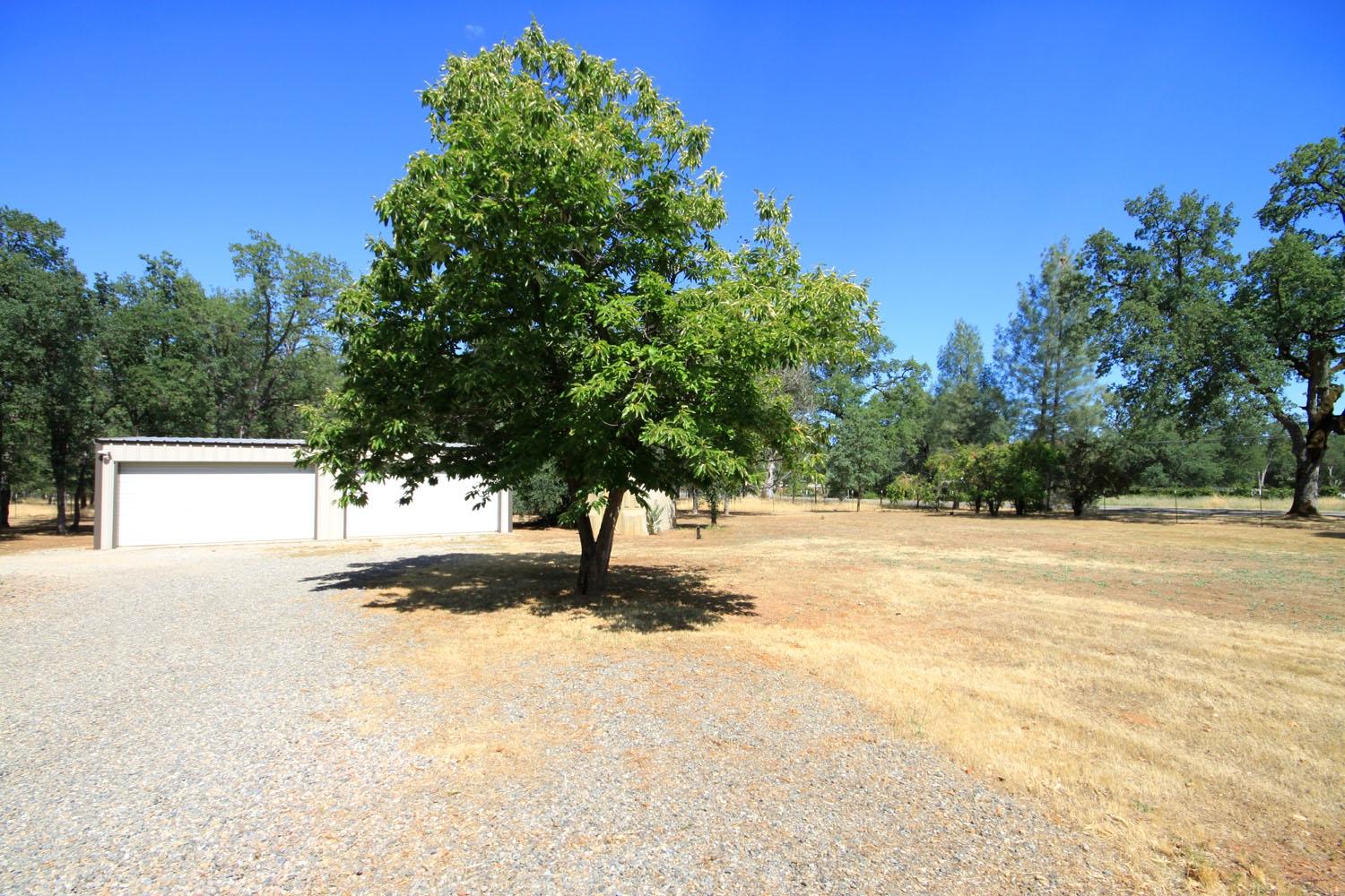 11845 Intermountain Road Redding, CA 96003 - Photo 5 of 19 Open Area/Level Lot