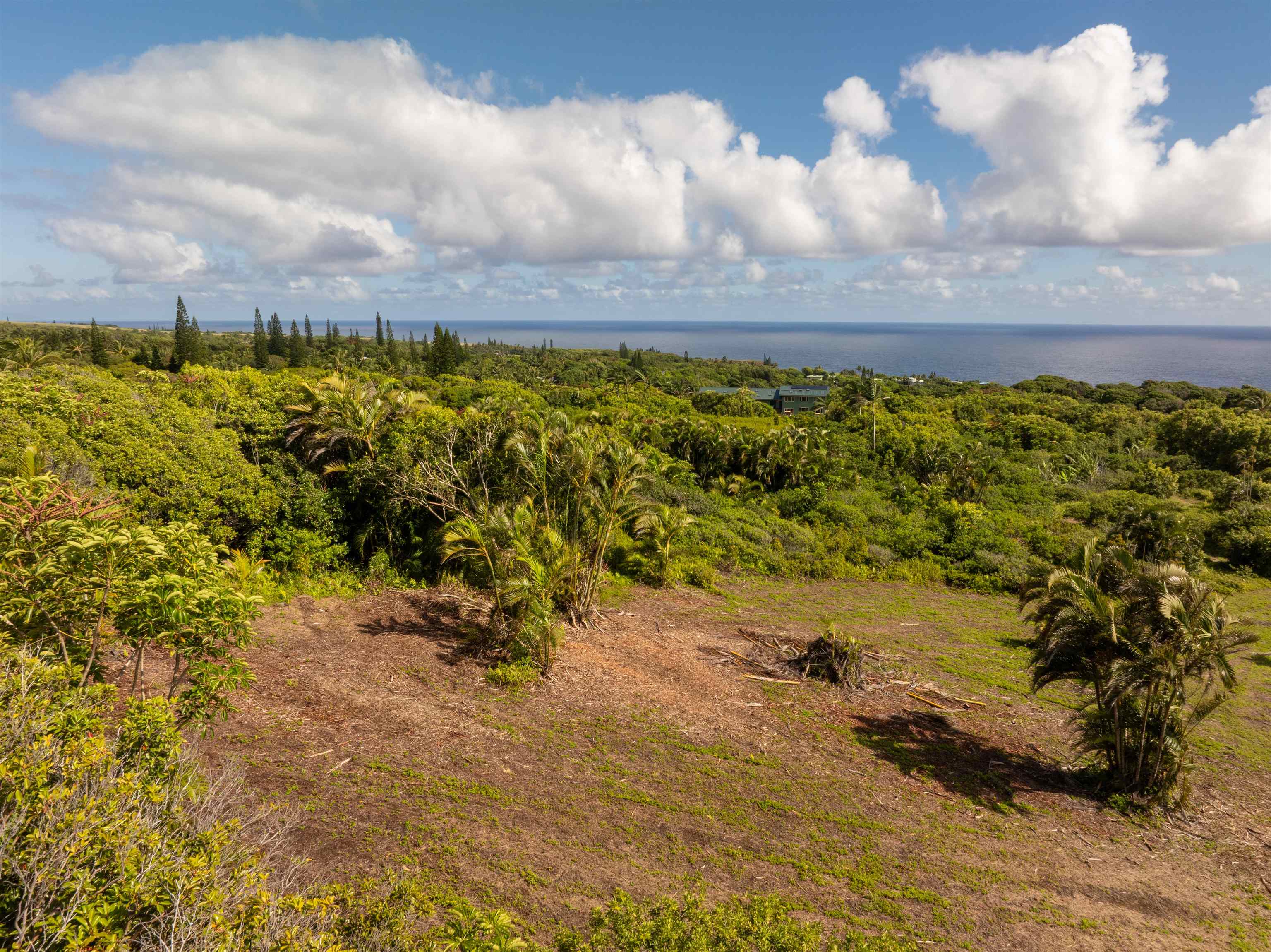 601 North Honokala Road, Unit A Haiku, HI 96708 - Photo 5 of 26