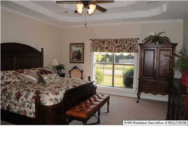 14160 Chapel Ridge Trail Olive Branch, MS 38654 - Photo 11 of 20 Additional Photo