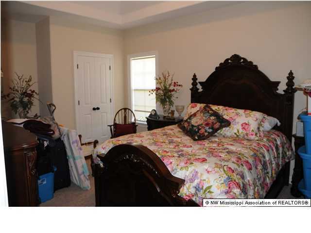 14160 Chapel Ridge Trail Olive Branch, MS 38654 - Photo 7 of 20 Additional Photo