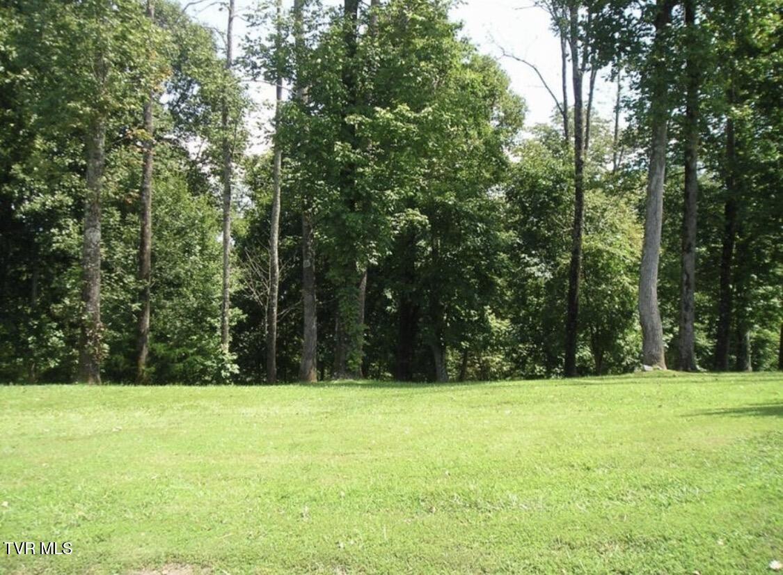 152 Allison Timbers Road, Unit 6 Piney Flats, TN 37686 - Photo 55 of 56 IMG_5356