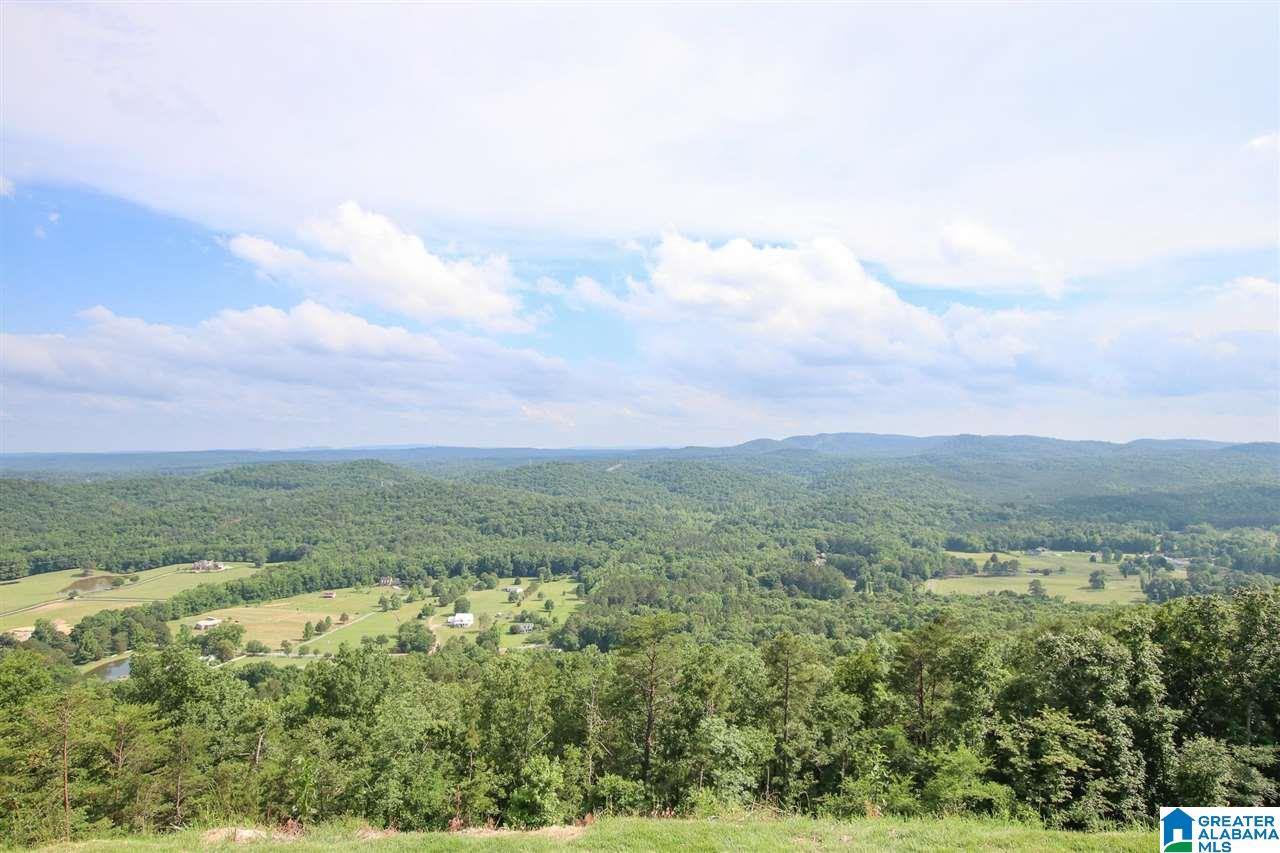 394 Drake Drive Springville, AL 35146 - Photo 44 of 49