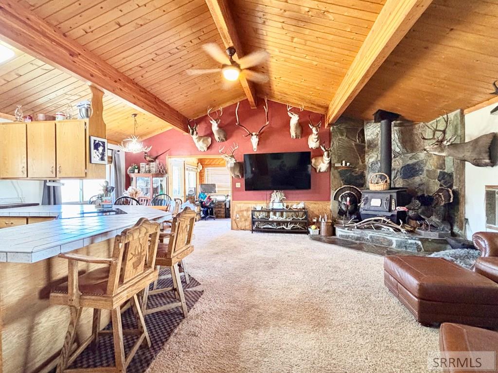 20 Stephens Road Challis, ID 83226 - Photo 6 of 50