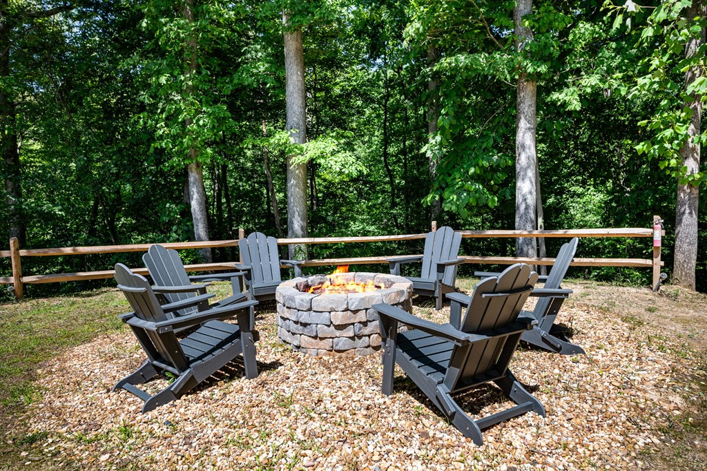 110 River Ridge Drive Blue Ridge, GA 30513 - Photo 48 of 80 Gallery Image 48