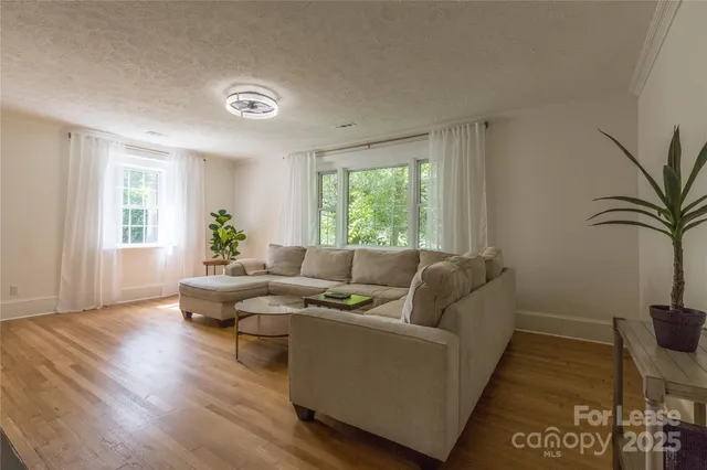 a living room with furniture and a potted plant