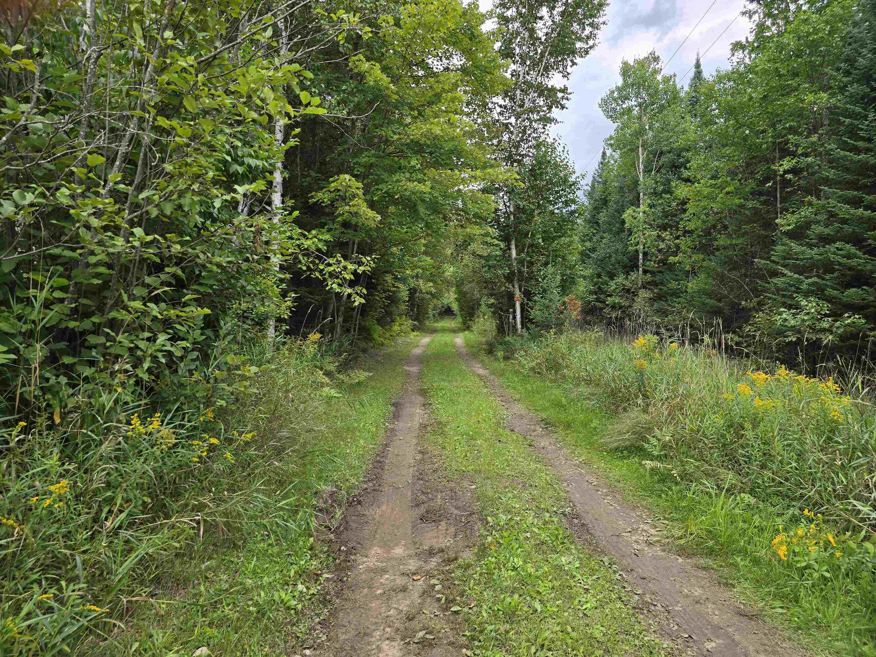 10.11-acres Golden Road Southeast Kalkaska, MI 49646 - Photo 4 of 17