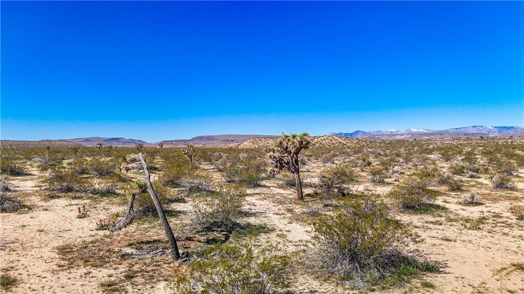 57645 Reche Road Landers, CA 92285 - Photo 16 of 38 a view of a sky