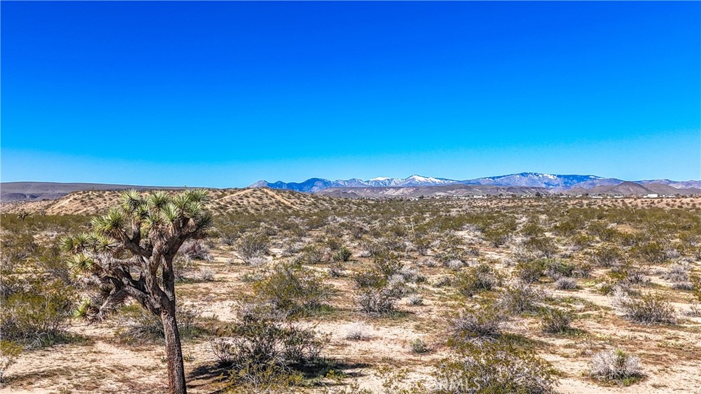 57645 Reche Road Landers, CA 92285 - Photo 17 of 38 a view of a sky from a city