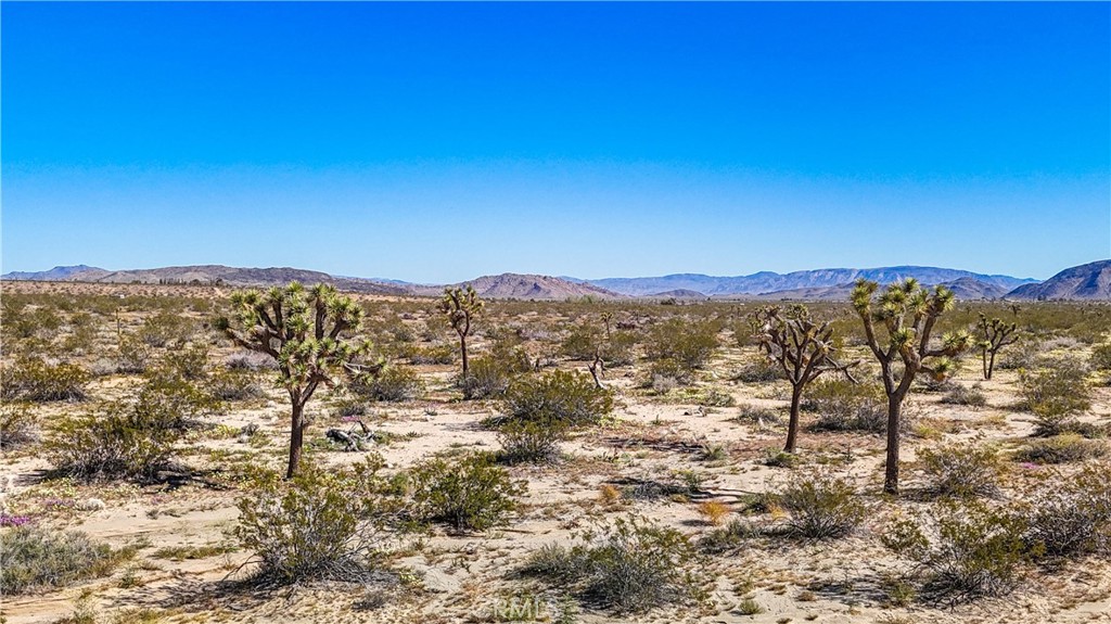 57645 Reche Road Landers, CA 92285 - Photo 2 of 38 a view of a sky