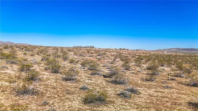 a view of city with ocean