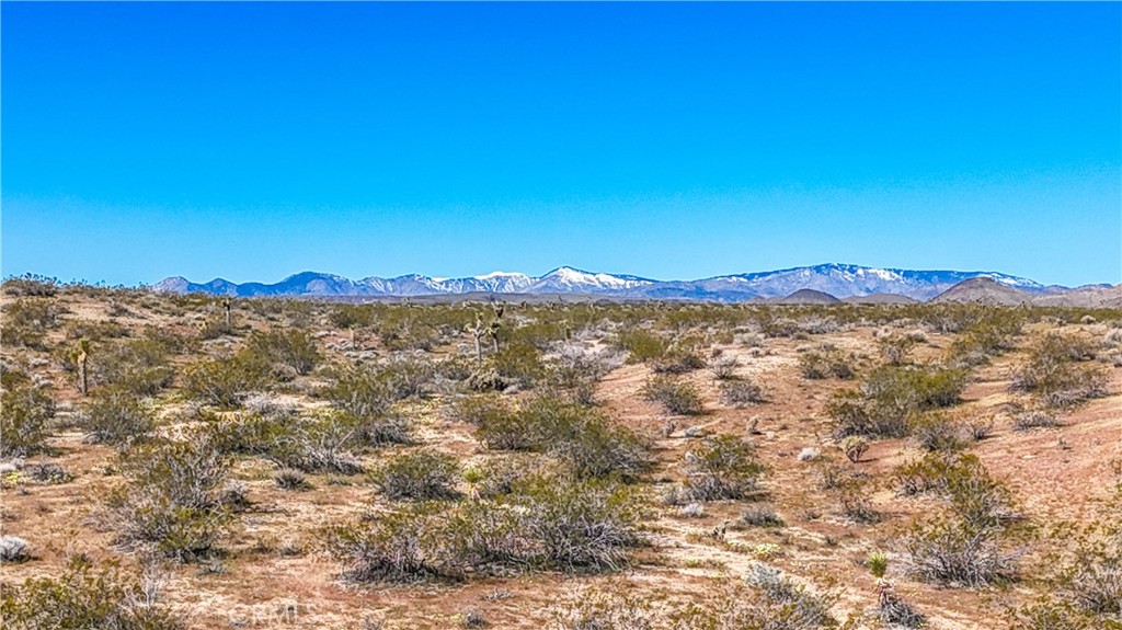 57645 Reche Road Landers, CA 92285 - Photo 34 of 38