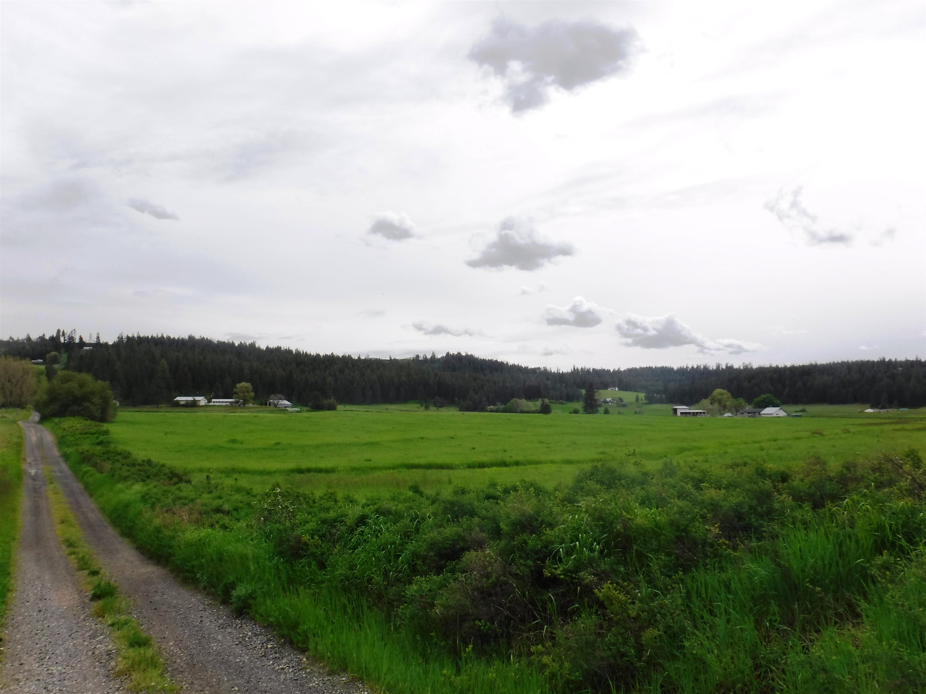Xx East Woolard Road Colbert, WA 99005 - Photo 6 of 23