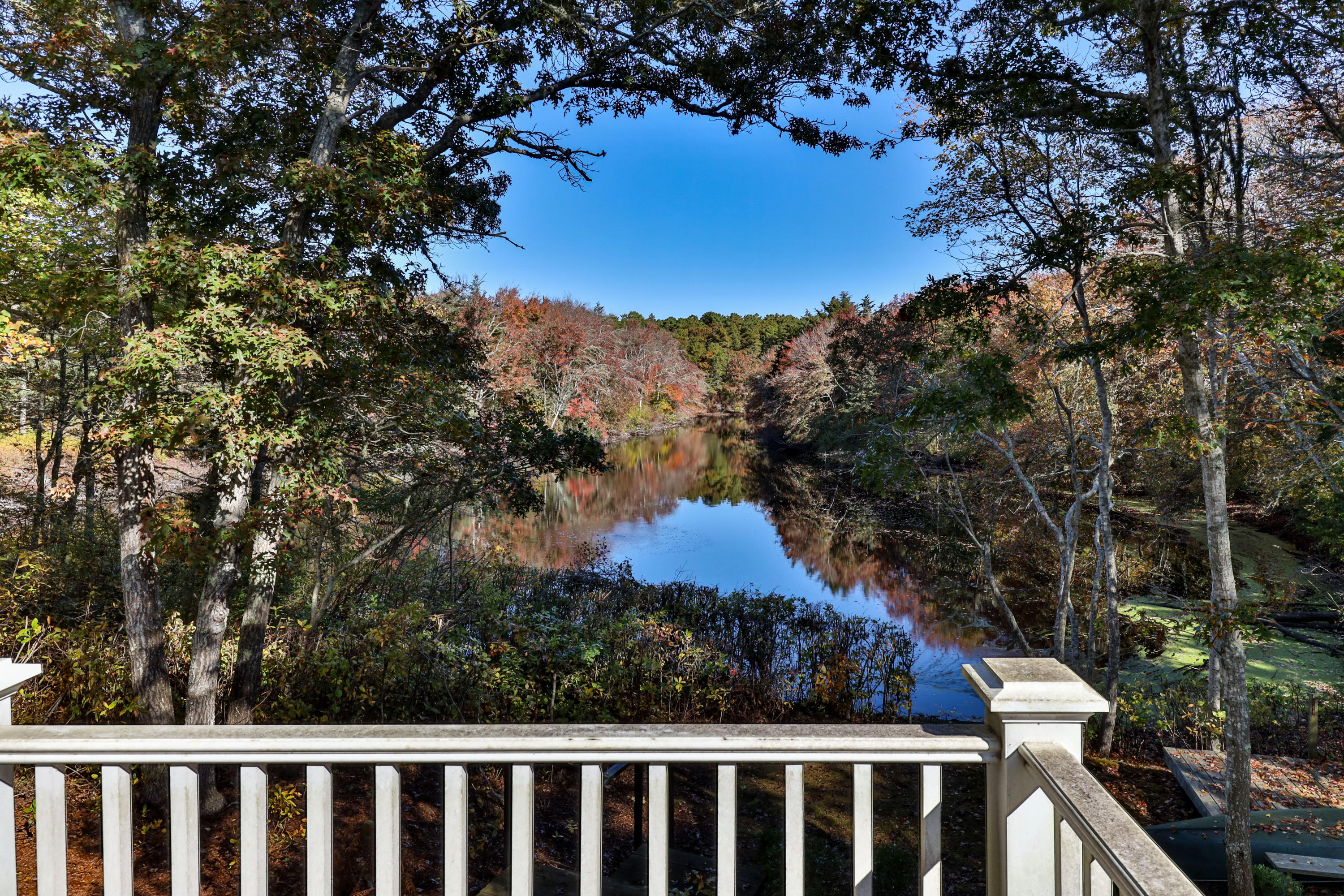 205 Uncle Percy's Road Mashpee, MA 02649 - Photo 3 of 54 a view of a yard