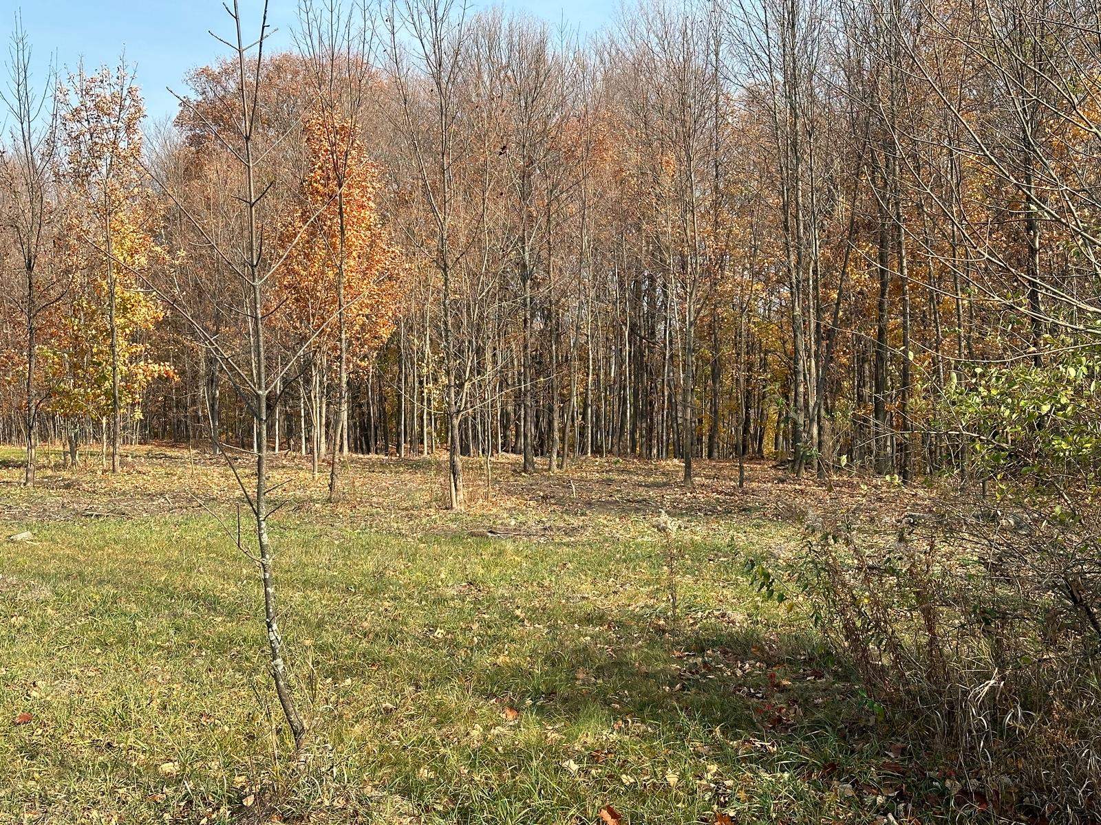 4461 Powell Road Kewadin, MI 49648 - Photo 4 of 18 Gallery Image 4