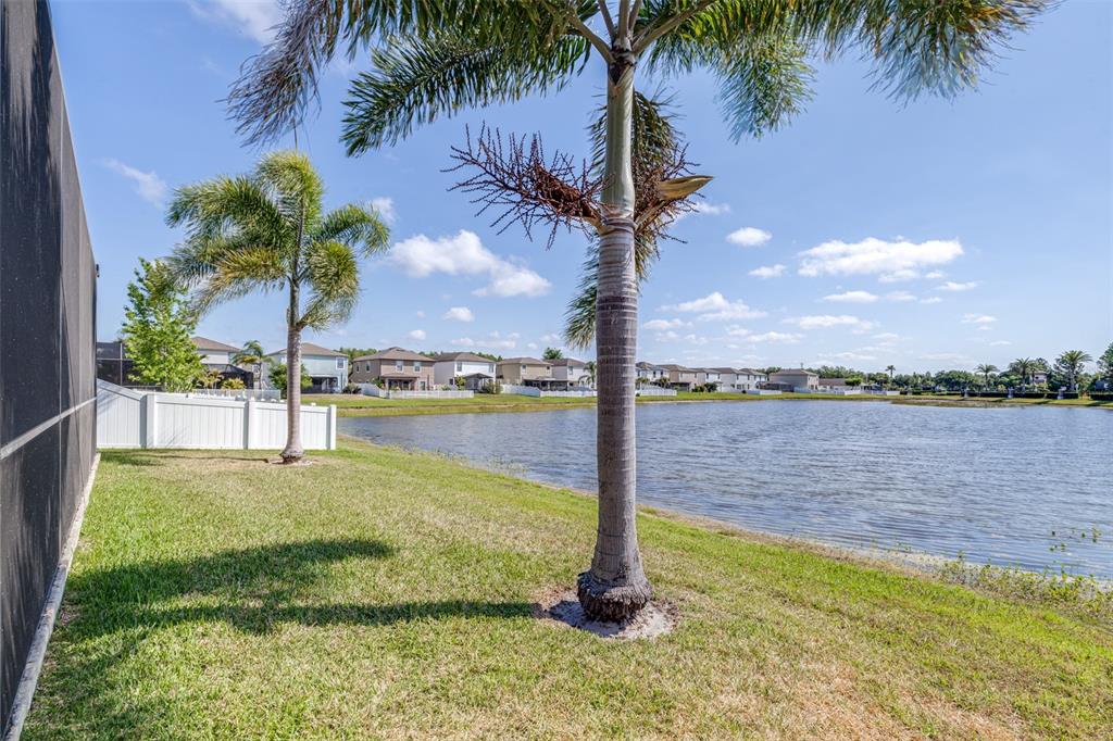 1762 Hadden Hall Place Trinity, FL 34655 - Photo 38 of 49 a view of a lake with a palm tree and a park