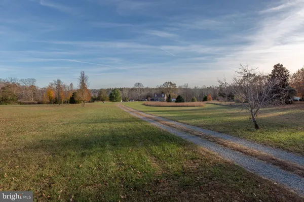 a view of a field