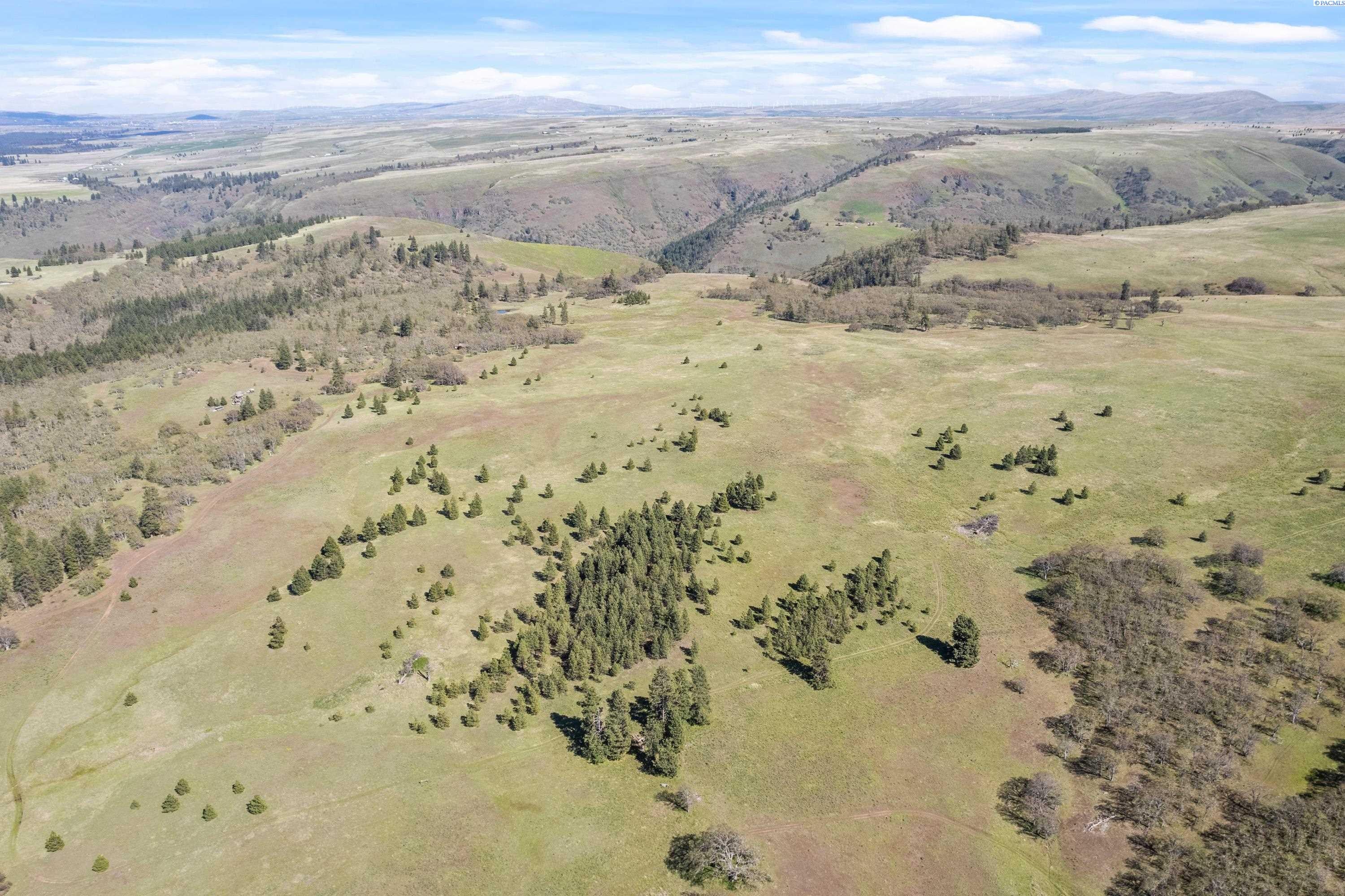 Lot 19 Schilling Road Lyle, WA 98635 - Photo 5 of 39 Gallery Image 5