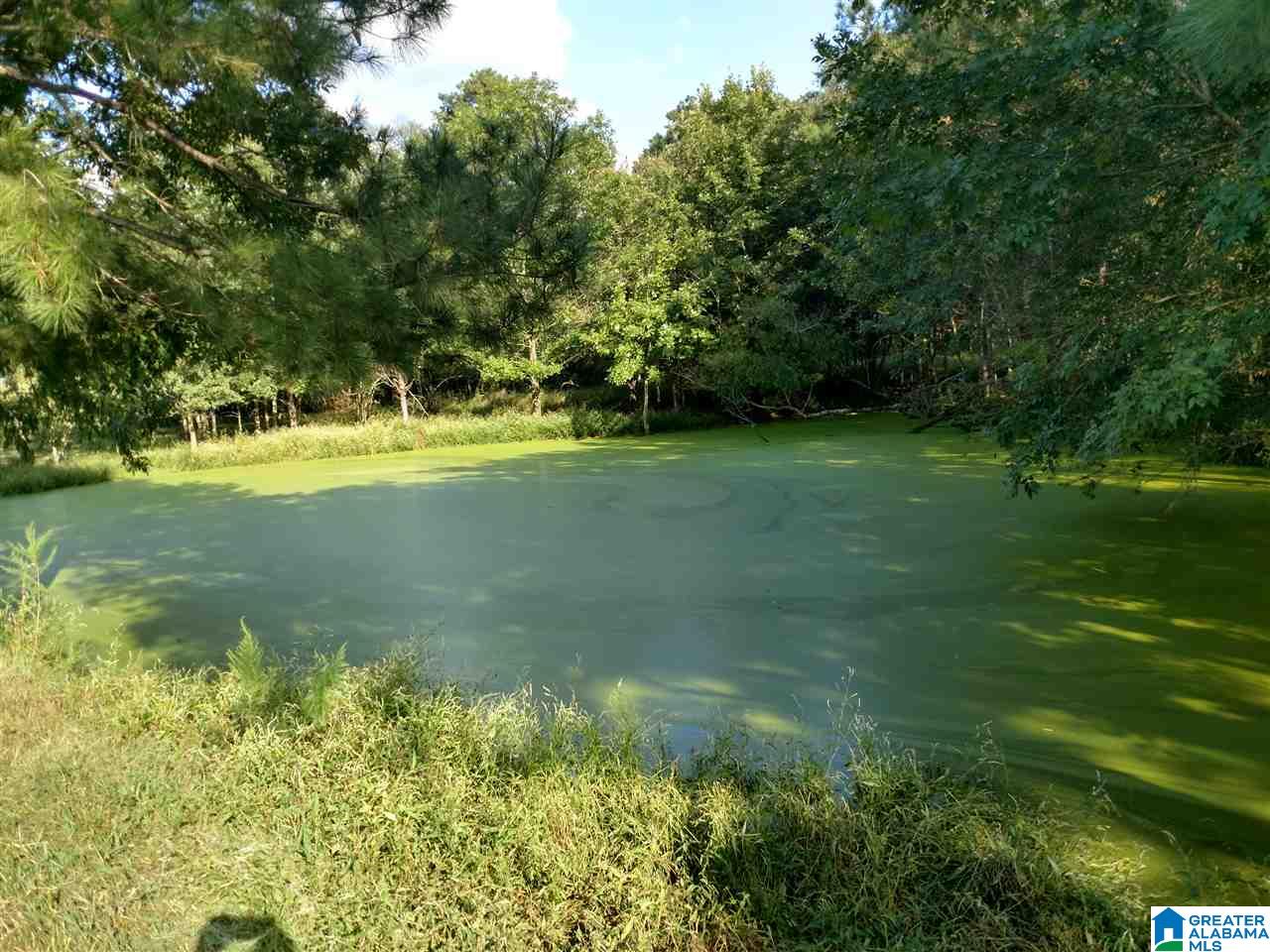 13626 Highway 160 Cleveland, AL 35049 - Photo 25 of 28