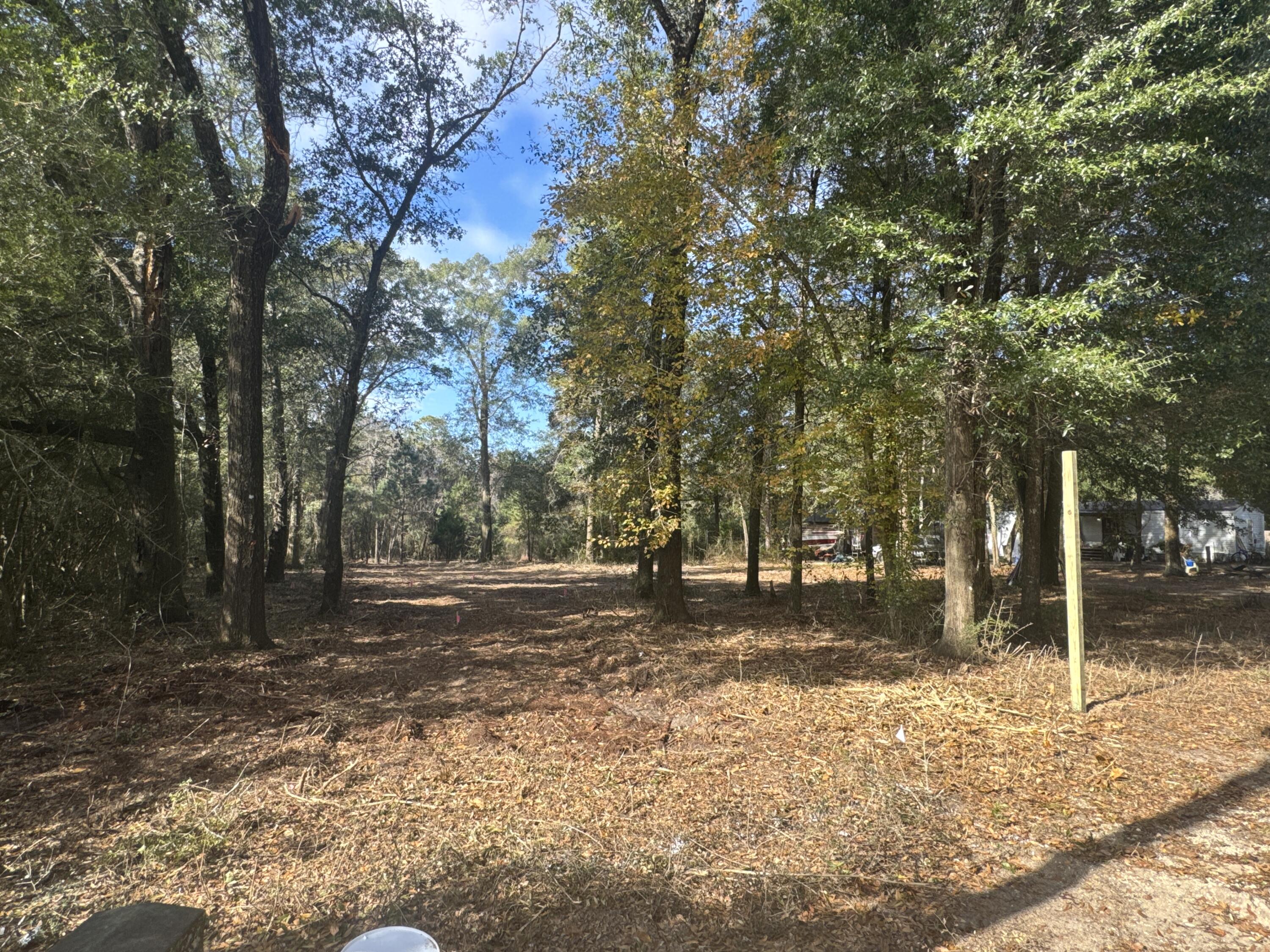 2-acres North Norwood Road DeFuniak Springs, FL 32433 - Photo 1 of 12 a backyard of a house with lots of green space