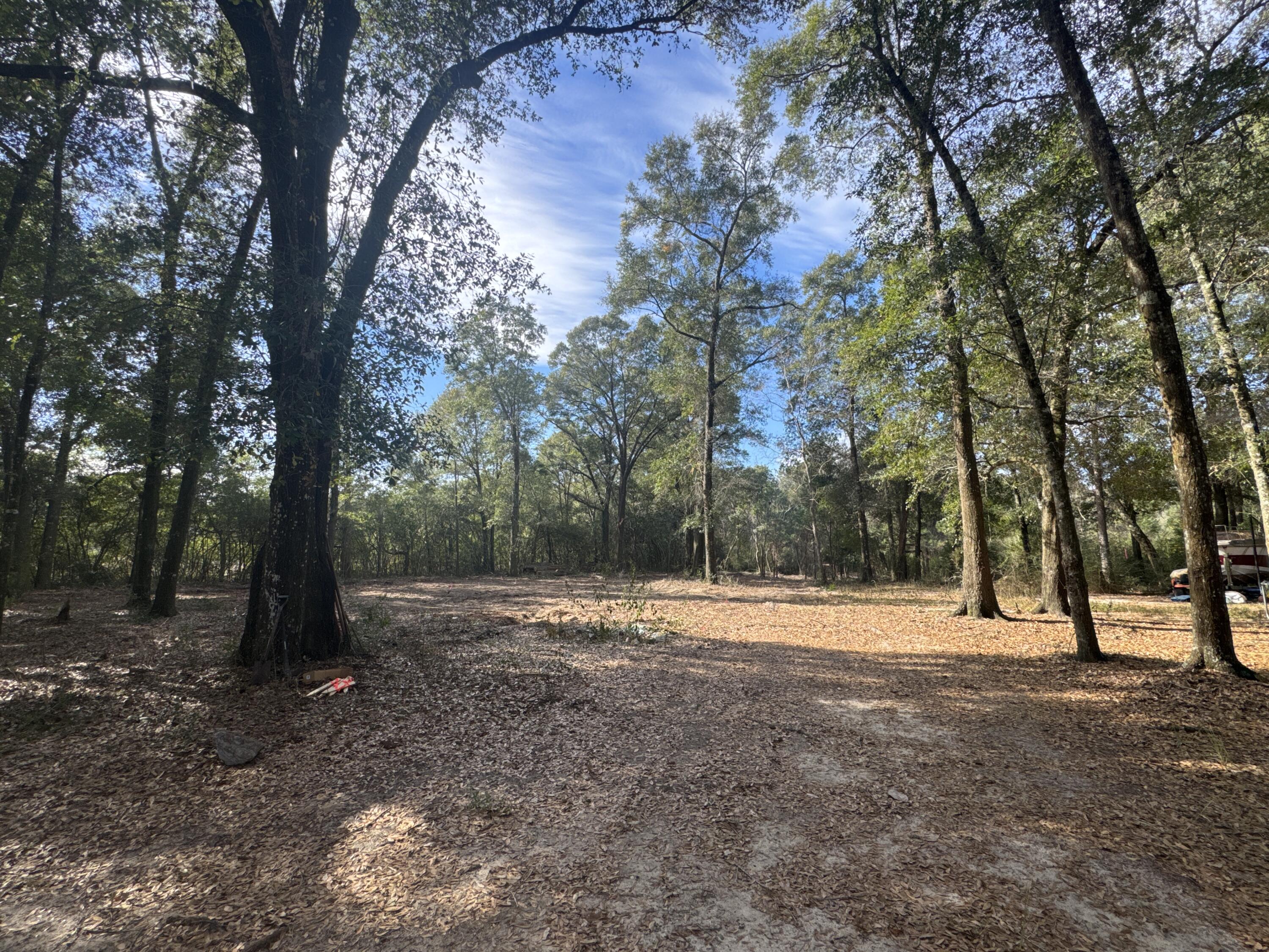 2-acres North Norwood Road DeFuniak Springs, FL 32433 - Photo 2 of 12 a view of outdoor space with trees