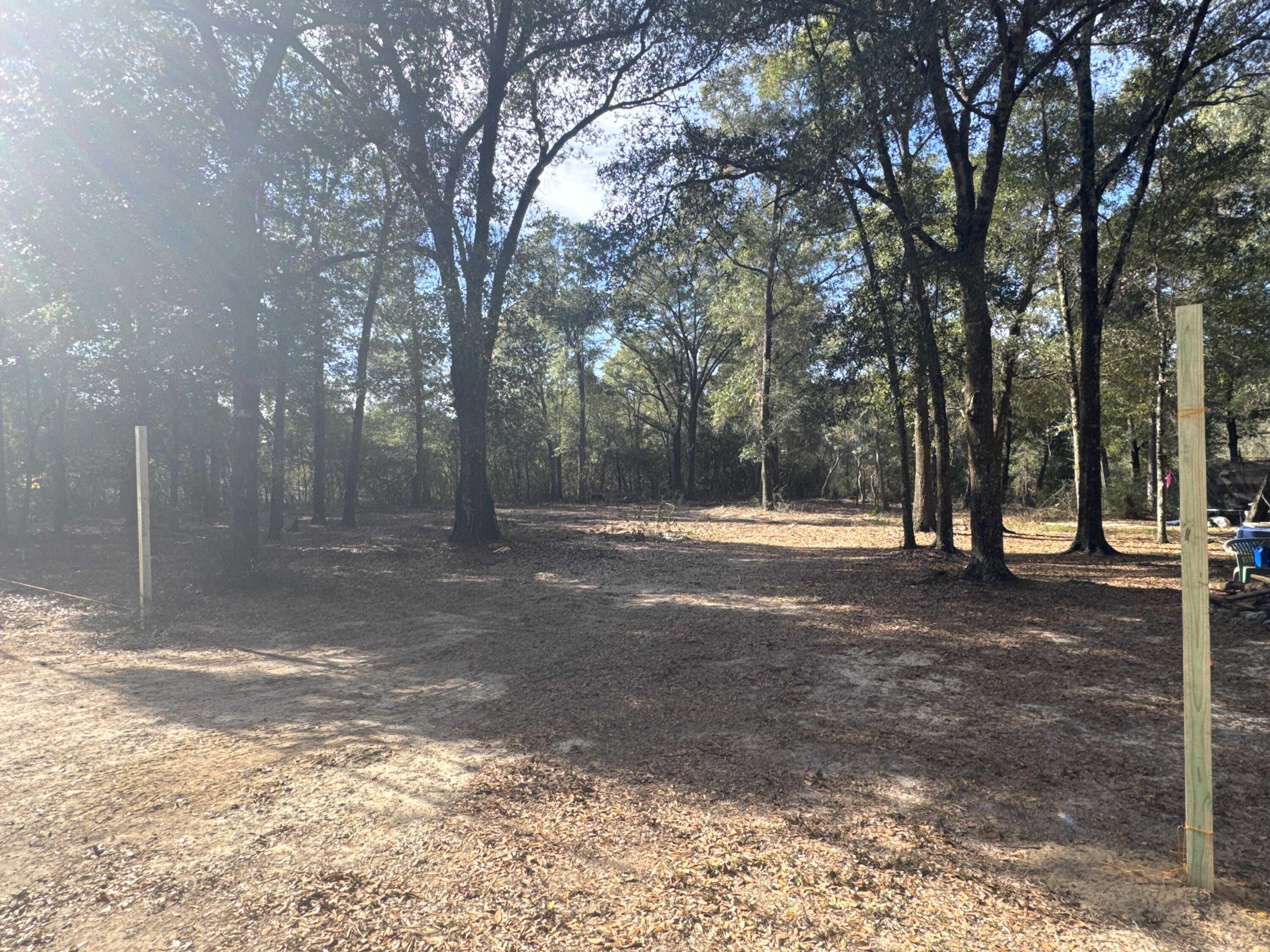 2-acres North Norwood Road DeFuniak Springs, FL 32433 - Photo 3 of 12 a view of outdoor space with trees
