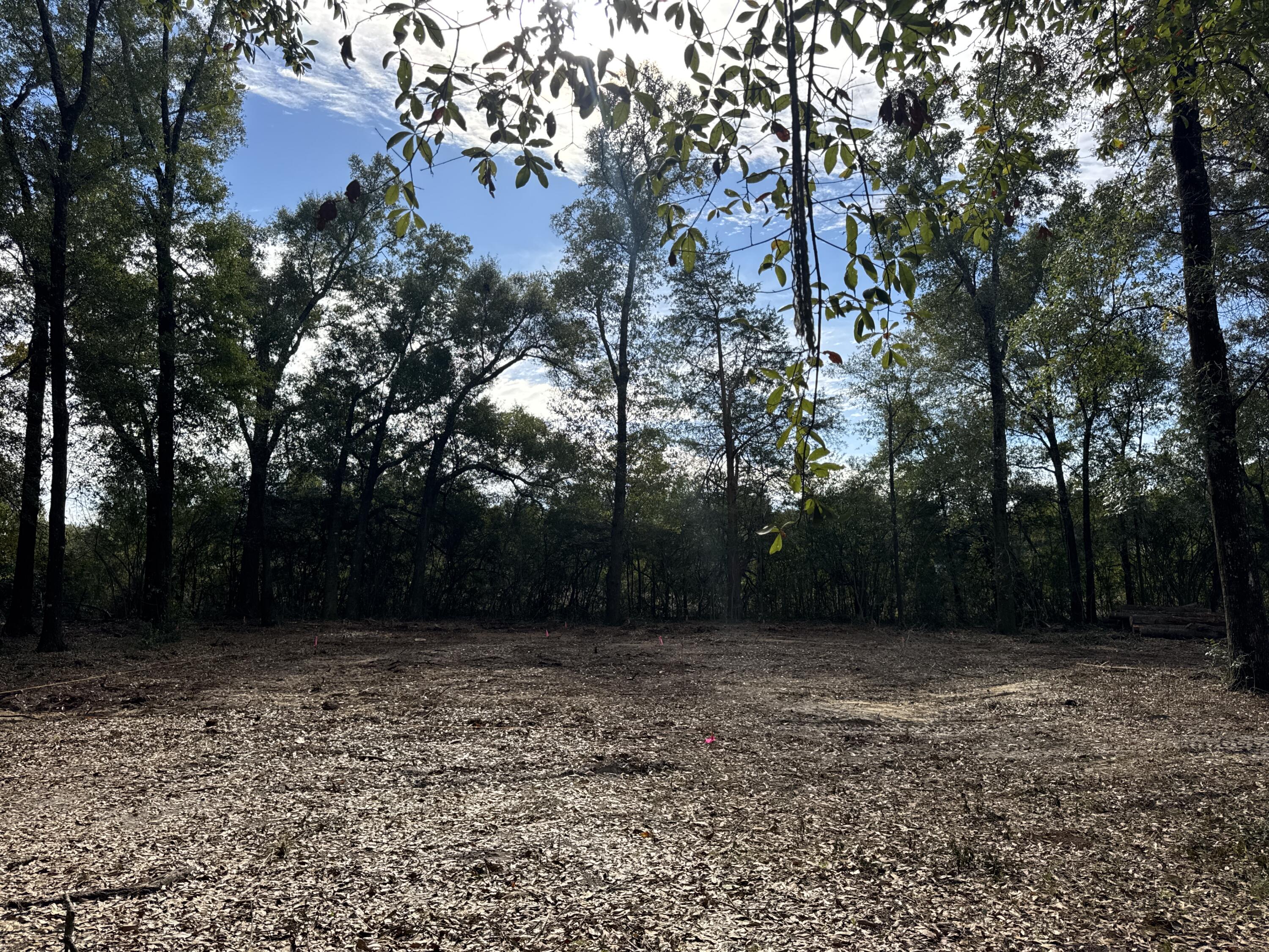 2-acres North Norwood Road DeFuniak Springs, FL 32433 - Photo 5 of 12 a view of backyard with green space