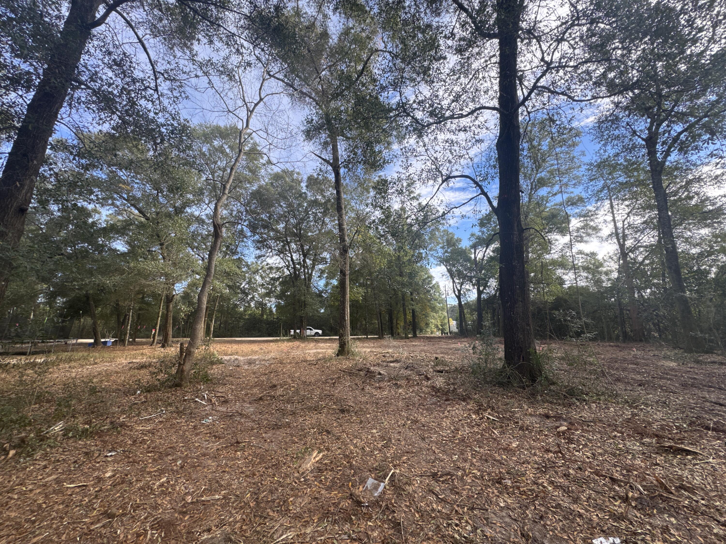 2-acres North Norwood Road DeFuniak Springs, FL 32433 - Photo 7 of 12 a view of outdoor space with trees
