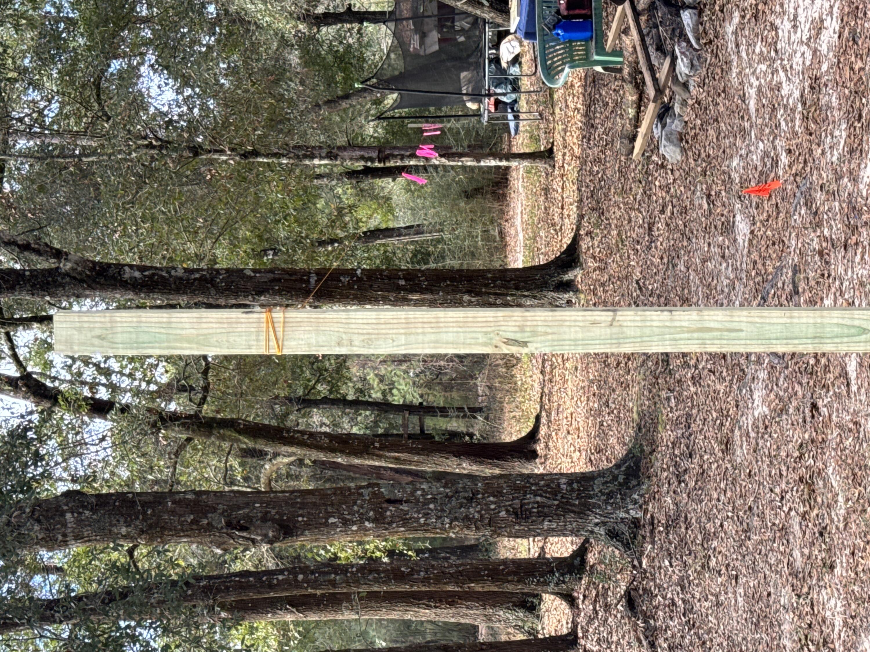 2-acres North Norwood Road DeFuniak Springs, FL 32433 - Photo 8 of 12 a view of outdoor space and yard