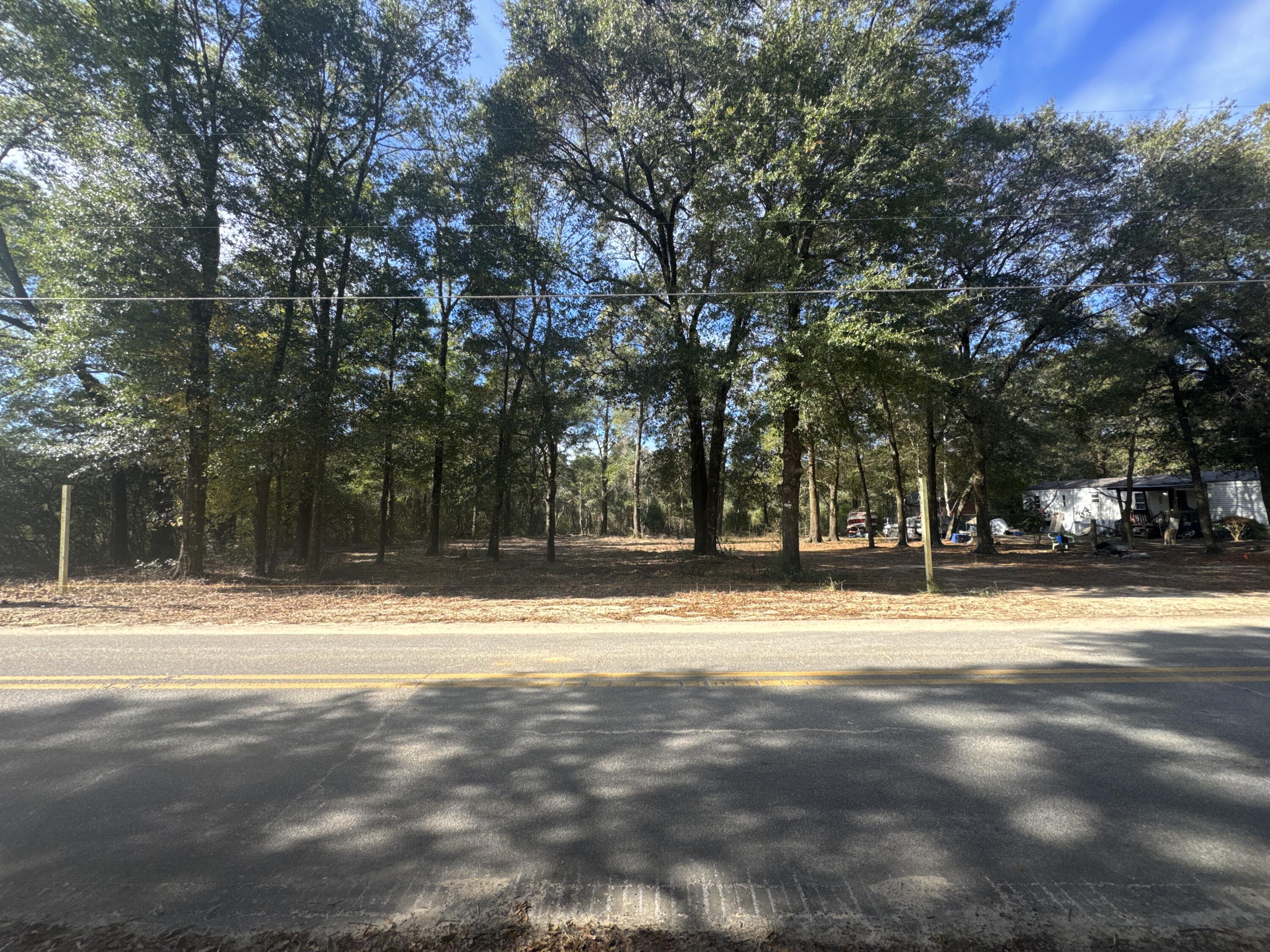 2-acres North Norwood Road DeFuniak Springs, FL 32433 - Photo 10 of 12 a view of road with trees