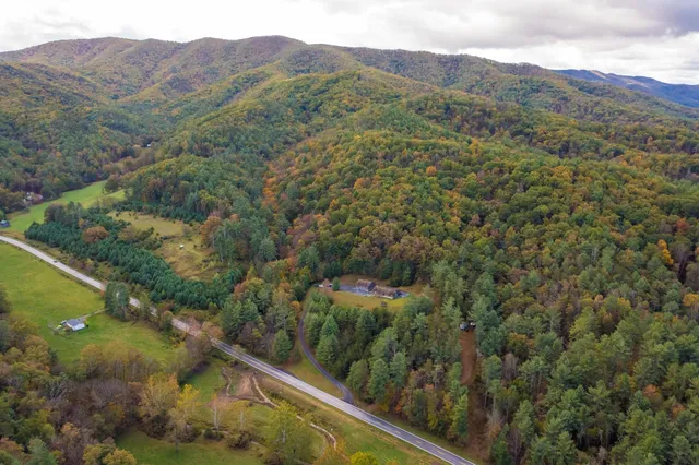 a view of a lush green hillside and houses