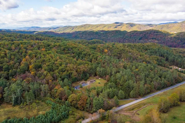 a view of a big yard with plants and large trees