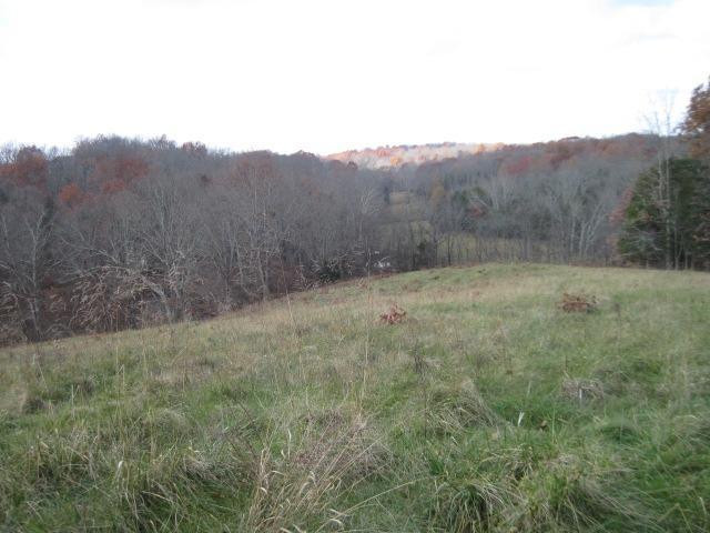 2 Greenup Road Owenton, KY 40359 - Photo 6 of 8 Gallery Image 6