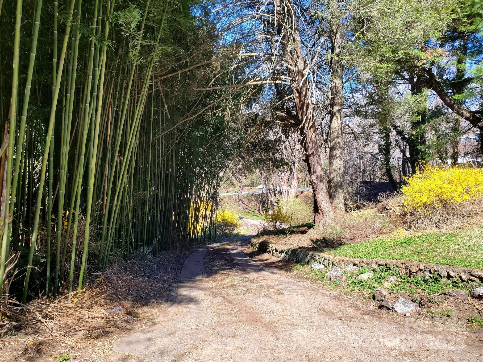 28 Plemmons Street Canton, NC 28716 - Photo 2 of 27